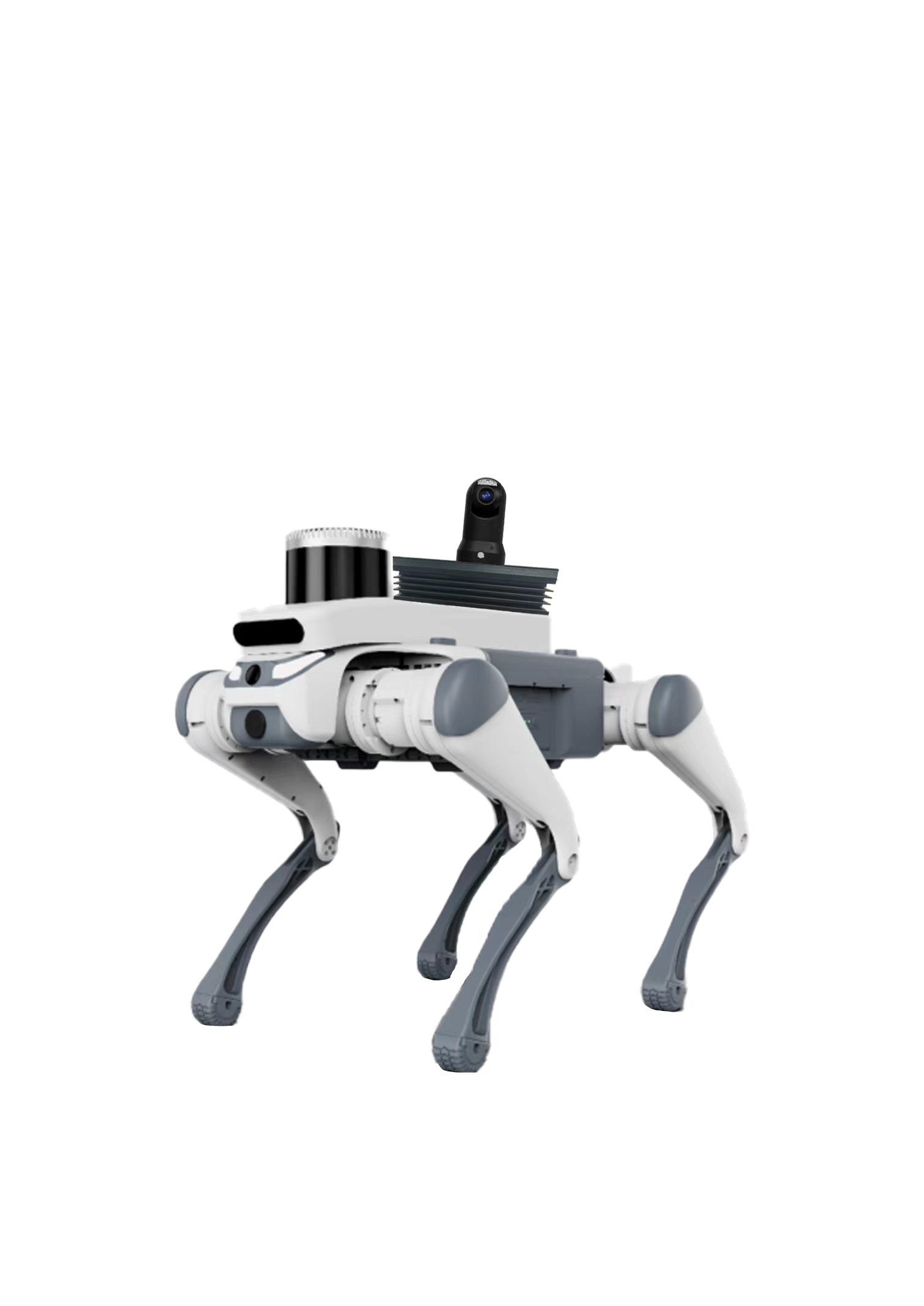 KSJ-ROBOT-01 四足仿生巡检机器狗